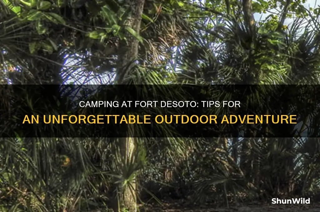 how to camp fort desoto