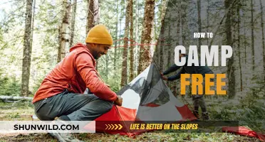 Ultimate Guide to Free Camping: Tips for Budget-Friendly Outdoor Adventures