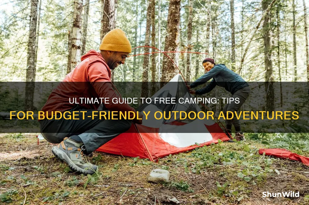 how to camp free