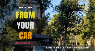 Car Camping 101: Your Ultimate Guide to Roadside Adventures