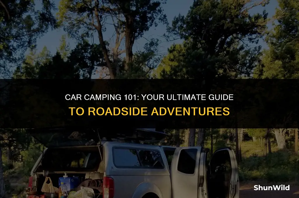 how to camp from your car
