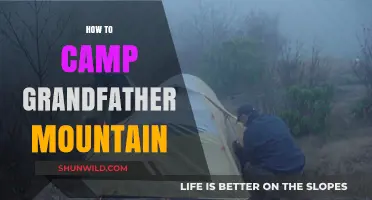 Camping Grandfather Mountain: Essential Tips for an Unforgettable Outdoor Adventure