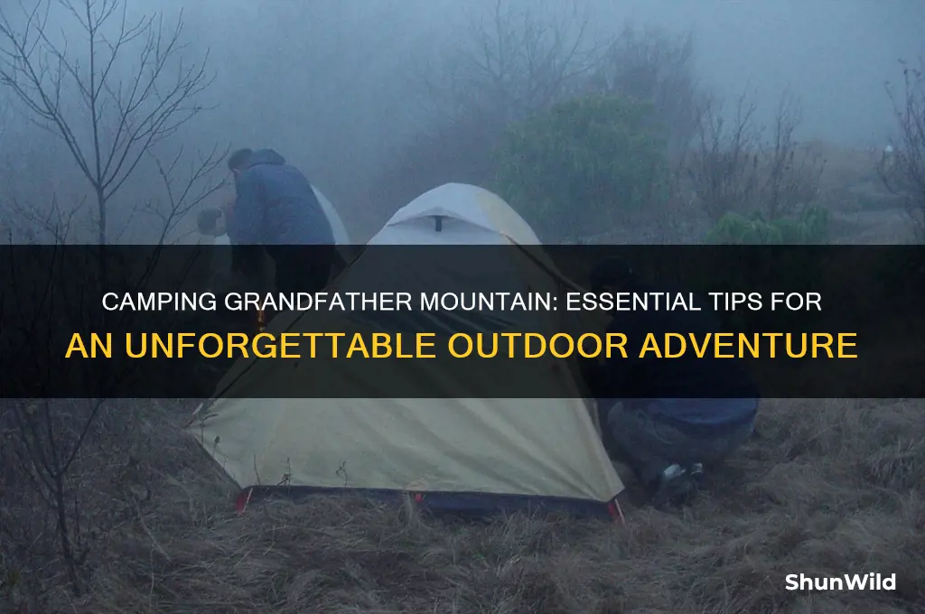 how to camp grandfather mountain