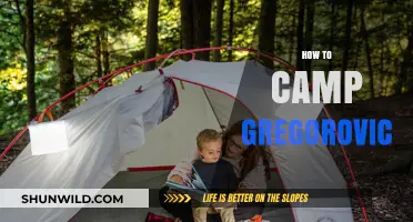Mastering the Art of Camping Gregorovic: Tips, Tricks, and Essentials