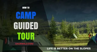 Master Guided Camping Tours: Tips, Tricks, and Essential Gear Guide
