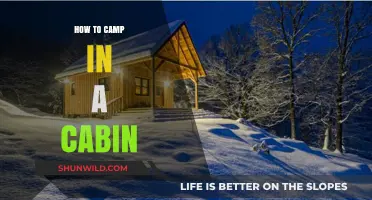 Cozy Cabin Camping: A Beginner's Guide to Rustic Retreats