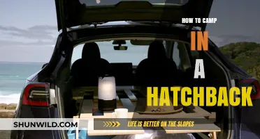 Hatchback Camping 101: Your Guide to Adventure on a Budget