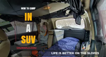 SUV Camping 101: Your Guide to Comfortable Outdoor Adventures