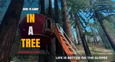 Elevate Your Camping Game: A Guide to Tree Tenting