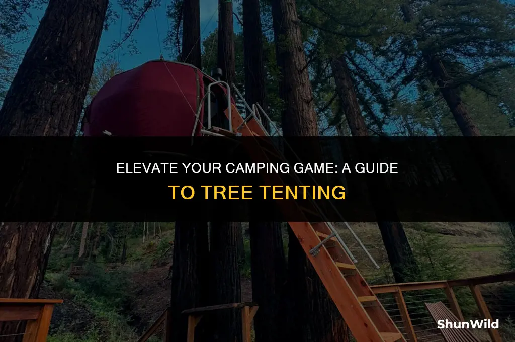 how to camp in a tree