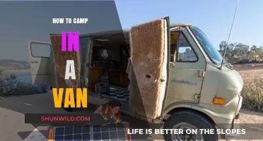 Van Life 101: Your Ultimate Guide to Camping in a Van