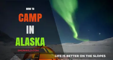 Alaska Camping Guide: Essential Tips for Wilderness Adventures in the Last Frontier