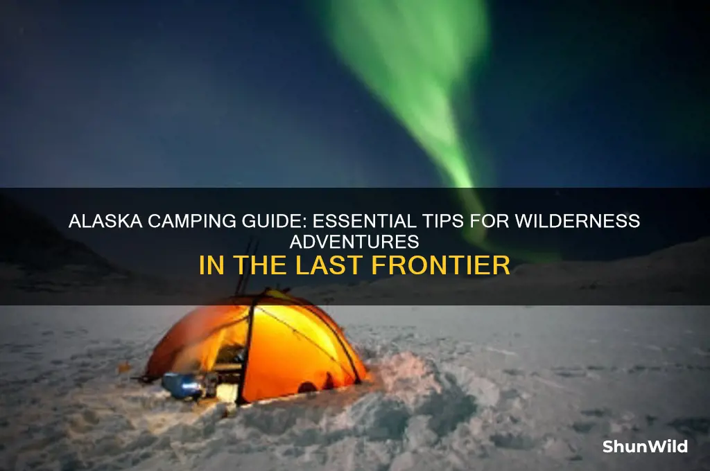 how to camp in alaska