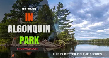 Exploring Algonquin: A Beginner's Guide to Camping in Canada's Wilderness
