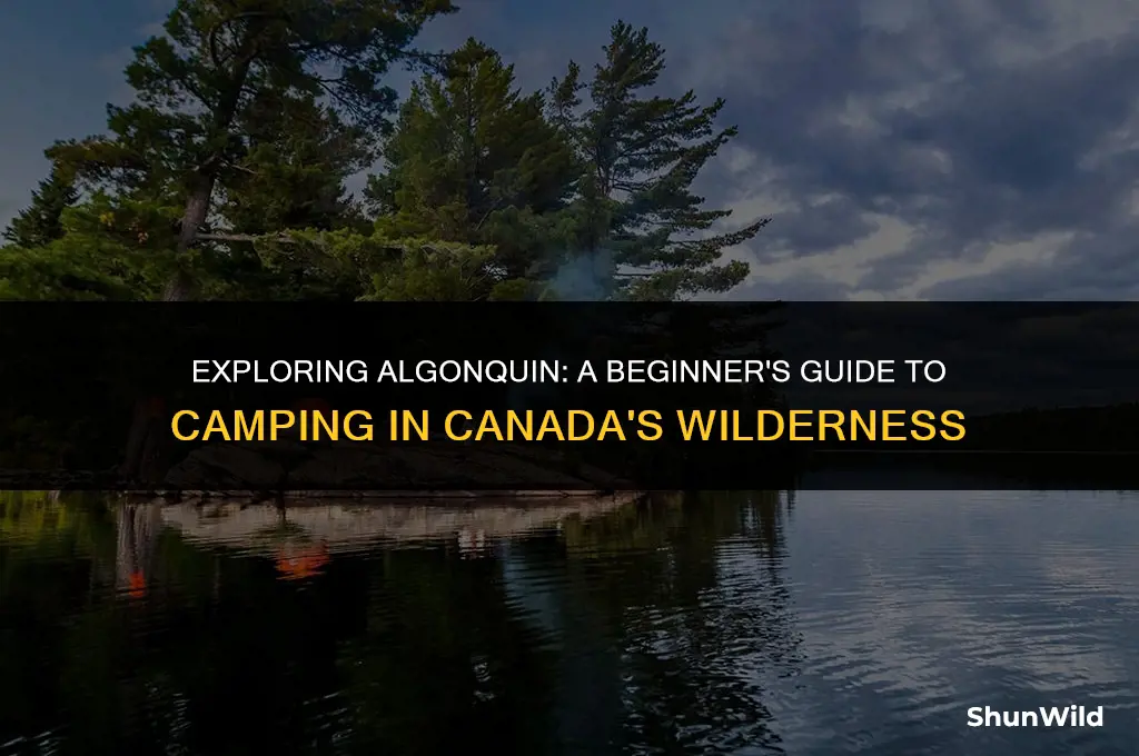 how to camp in algonquin park