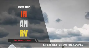 RV Camping 101: Your Ultimate Guide to Life on the Road