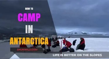 Extreme Camping Guide: Survive and Thrive in Antarctica's Harsh Wilderness