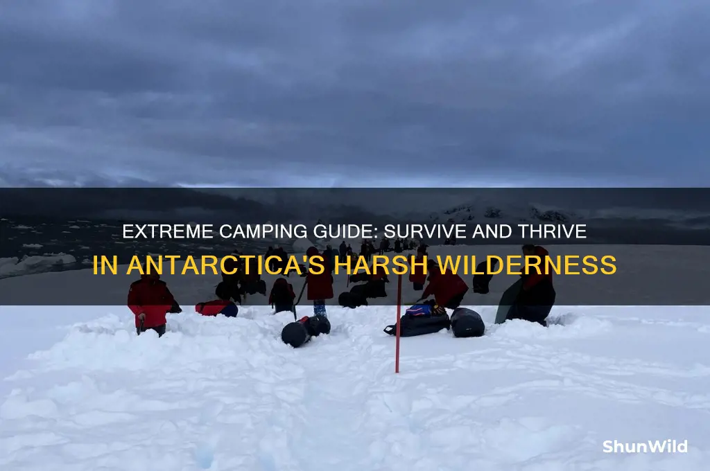 how to camp in antarctica