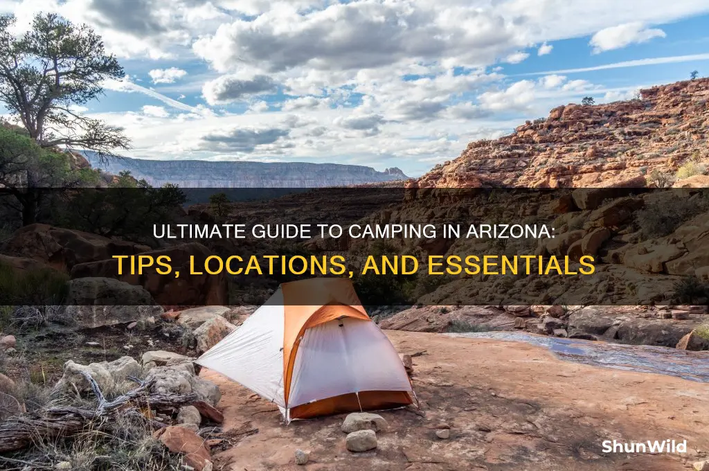 how to camp in arizona
