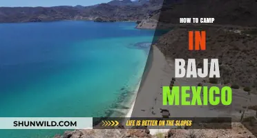 Essential Tips for an Unforgettable Camping Adventure in Baja Mexico