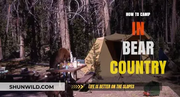 Bear-Proof Your Campsite: Essential Tips for Safe Wilderness Adventures