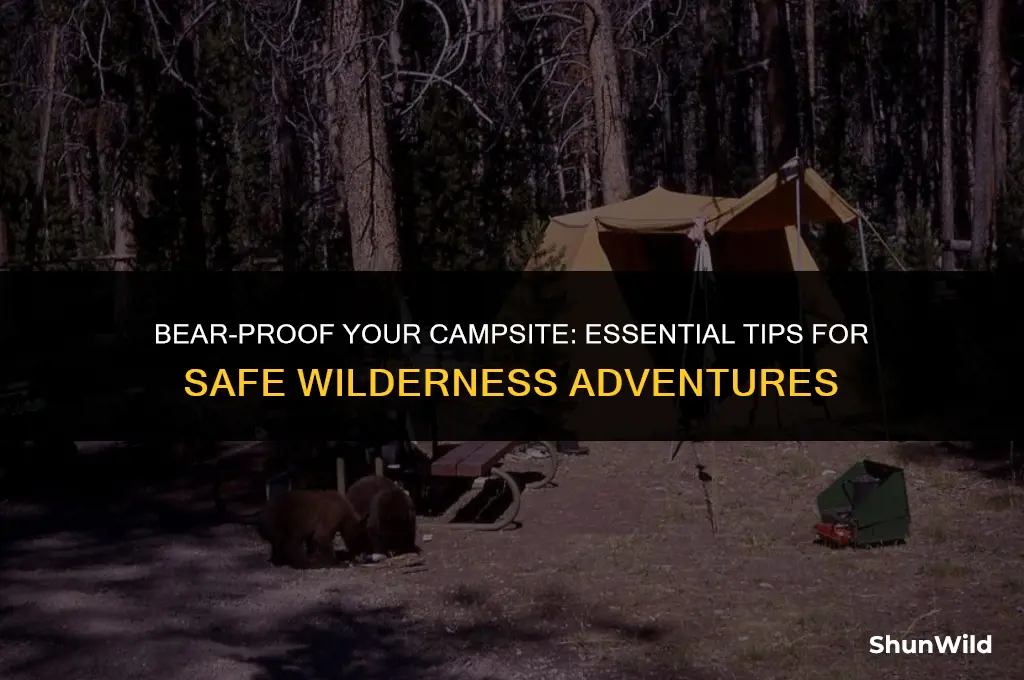 how to camp in bear country