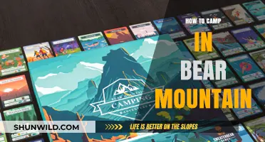 Exploring Bear Mountain: A Beginner's Guide to Safe Camping