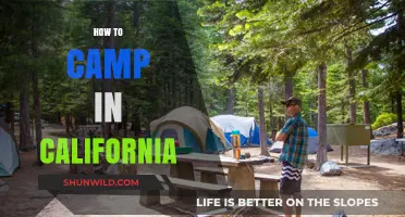Essential Tips for Camping in California's Diverse Landscapes