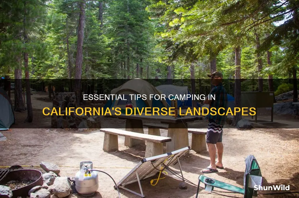how to camp in california