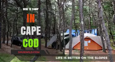 Exploring Cape Cod: A Beginner's Guide to Camping Adventures