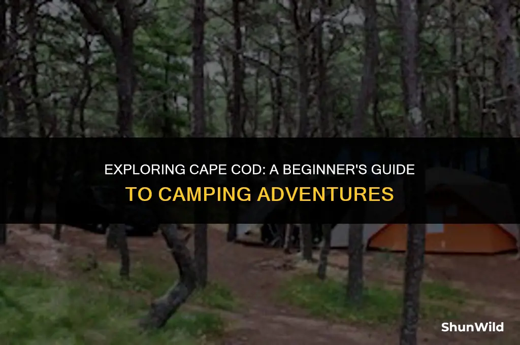how to camp in cape cod