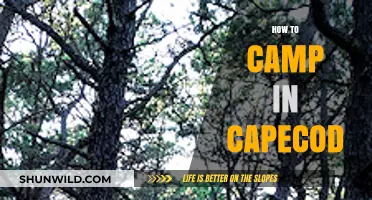 Ultimate Guide to Camping on Cape Cod: Tips & Top Spots