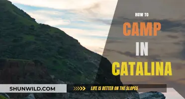 Ultimate Guide to Camping in Catalina: Tips, Trails, and Essentials