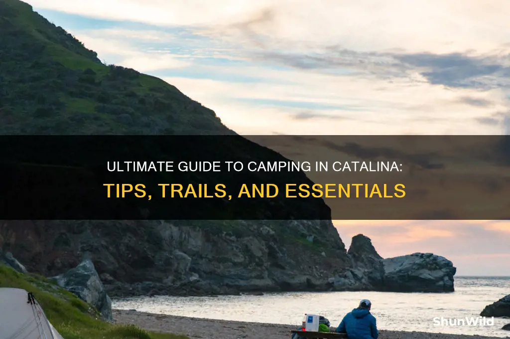 how to camp in catalina