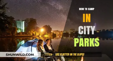 Urban Oasis: A Beginner's Guide to Camping in City Parks