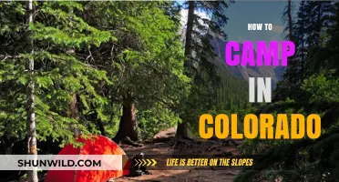 Ultimate Guide to Camping in Colorado: Tips, Trails, and Top Spots