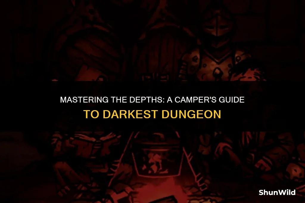 how to camp in darkest dongeon