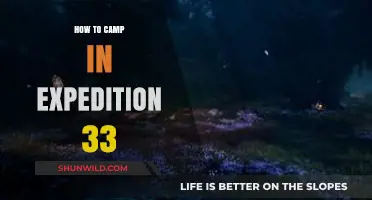 Mastering the Wilderness: A Guide to Camping in Expedition 33