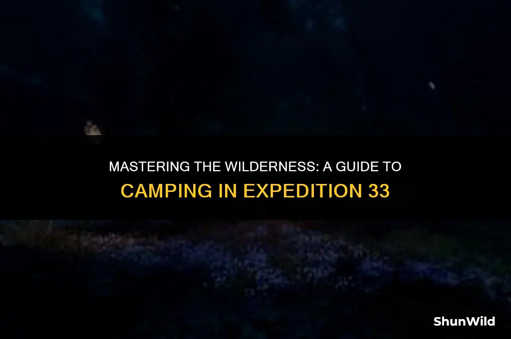 how to camp in expedition 33