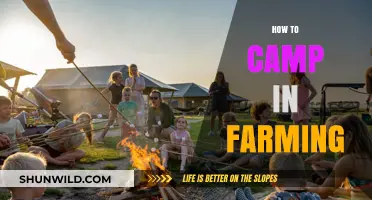 Camping on the Farm: Tips for a Rustic Outdoor Adventure