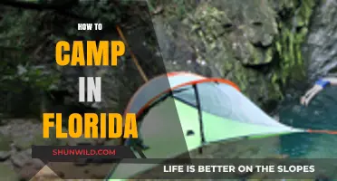 Essential Tips for Camping in Florida's Unique Outdoor Paradise