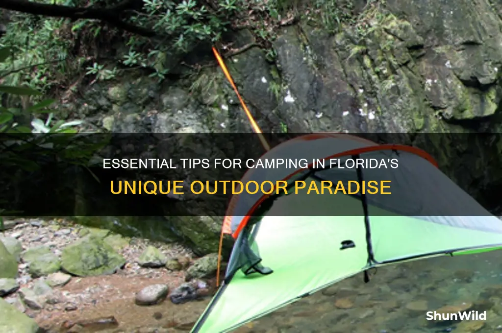 how to camp in florida