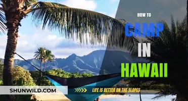 Ultimate Guide to Camping in Hawaii: Tips, Locations, and Essentials