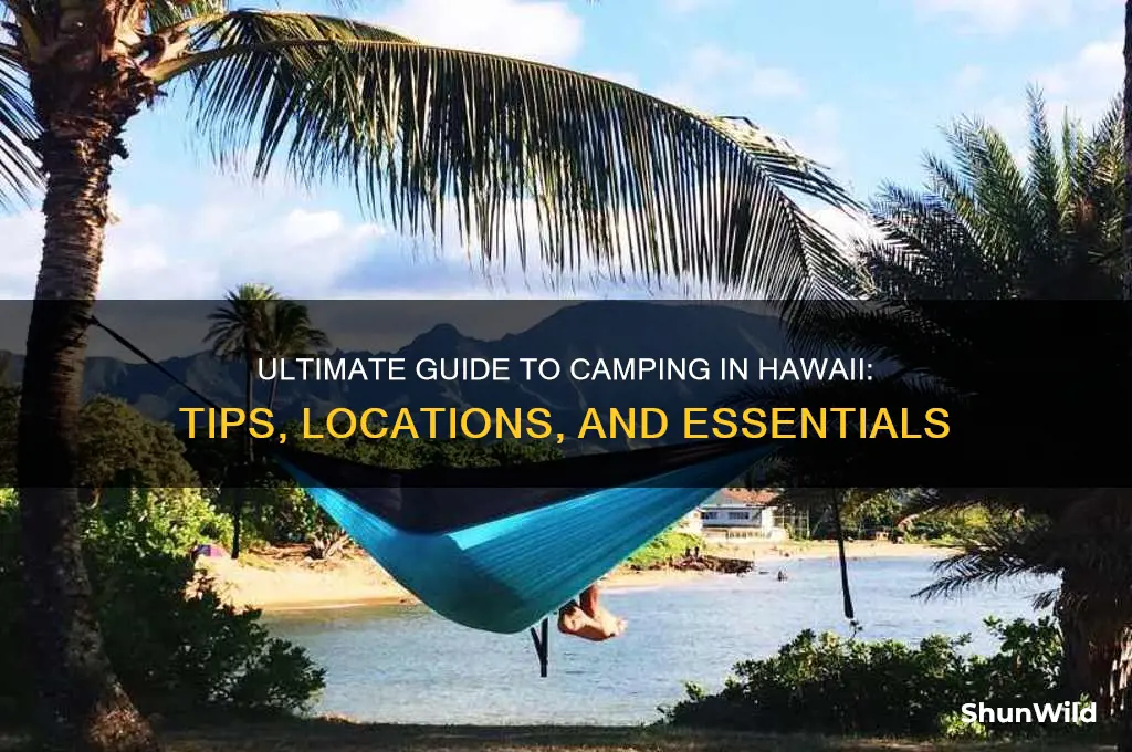 how to camp in hawaii