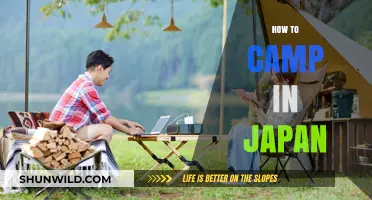 Essential Tips for Camping in Japan: A Beginner's Adventure Guide