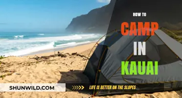 Ultimate Guide to Camping in Kauai: Tips, Locations, and Essentials