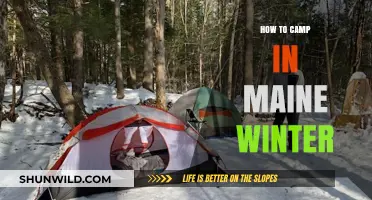 Embracing the Chill: A Guide to Winter Camping in Maine