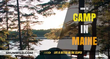 Essential Tips for Camping in Maine's Stunning Wilderness