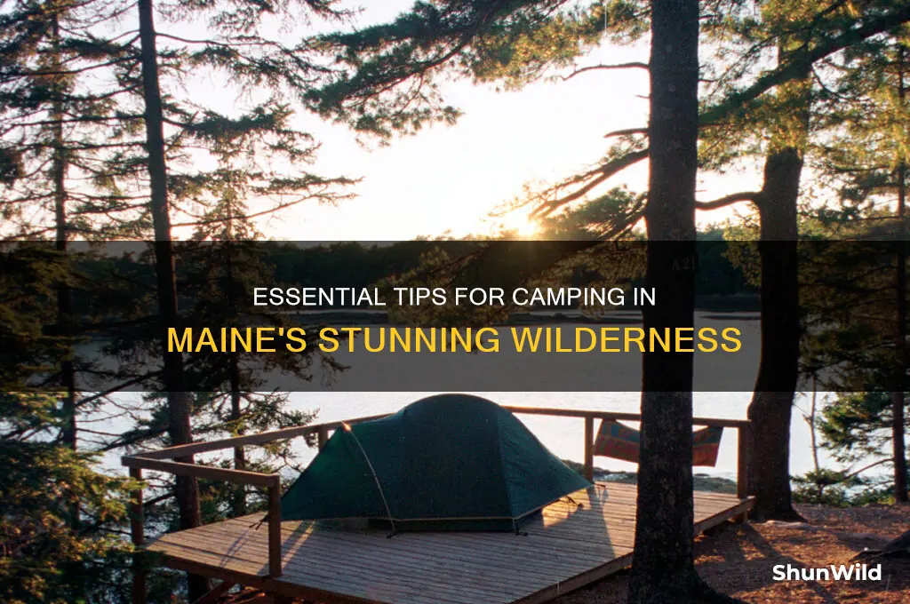 how to camp in maine