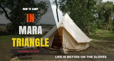 Exploring the Mara Triangle: A Camper's Guide to Kenya's Wildlife Haven